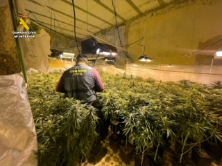 11 ALMERIA PLANTACION