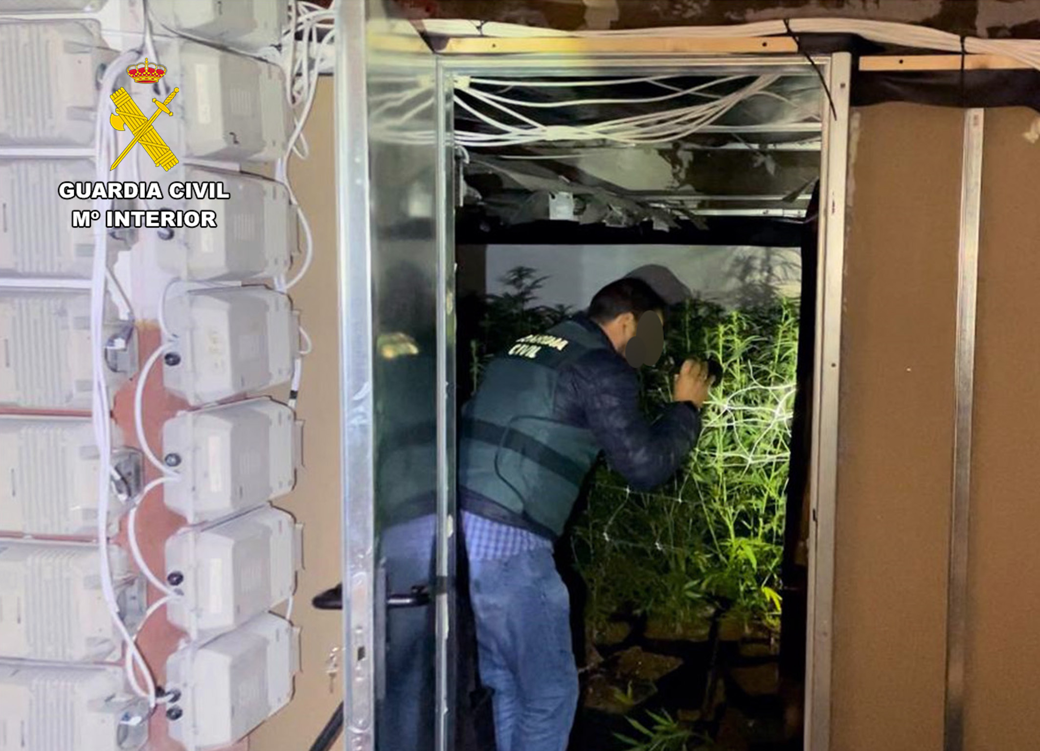 20240130 TRAFICO DROGA MARIHUANA JUMILLA 02