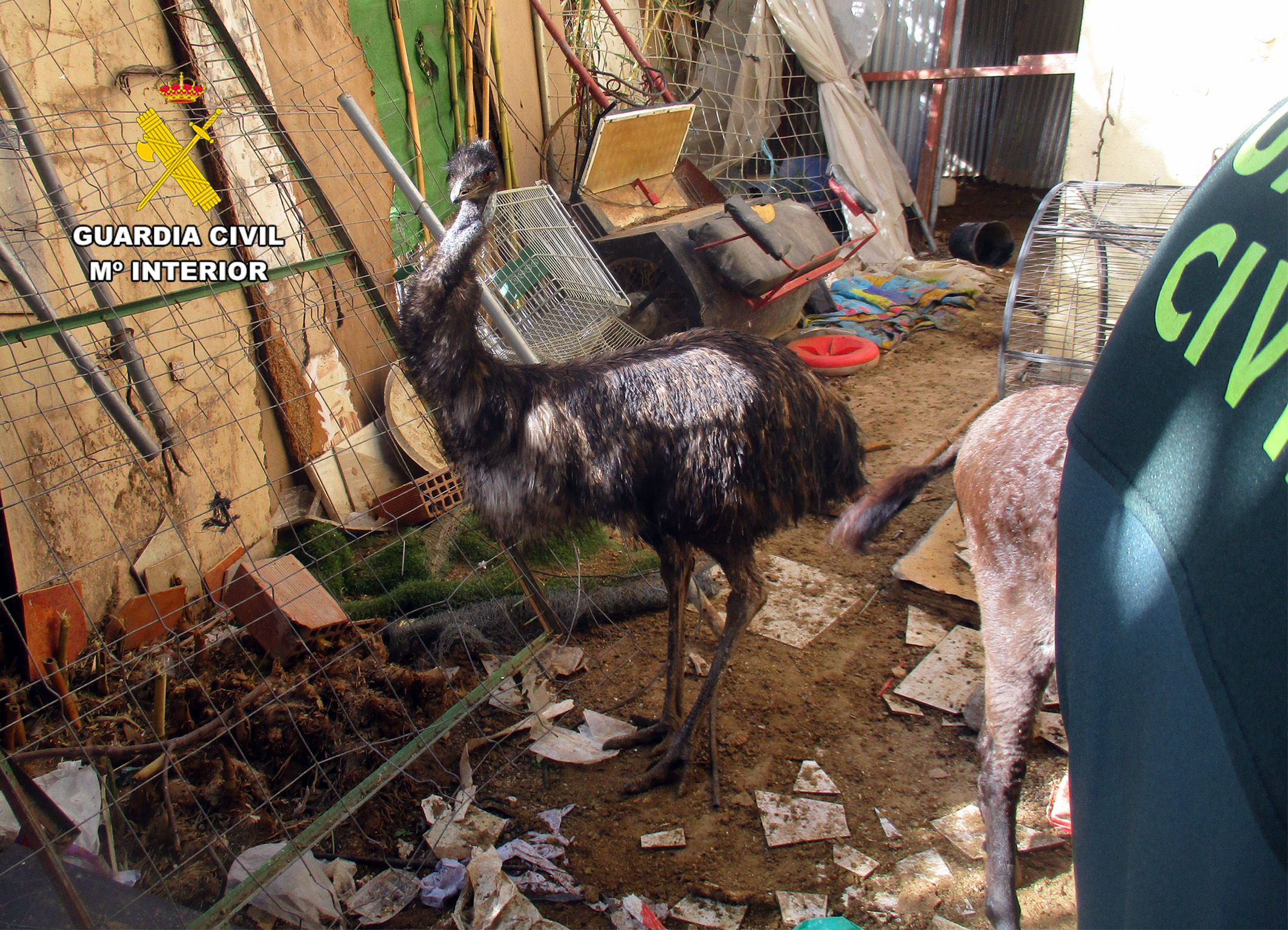 20251203 SPN BIENESTAR ANIMAL PPN LORCA 02