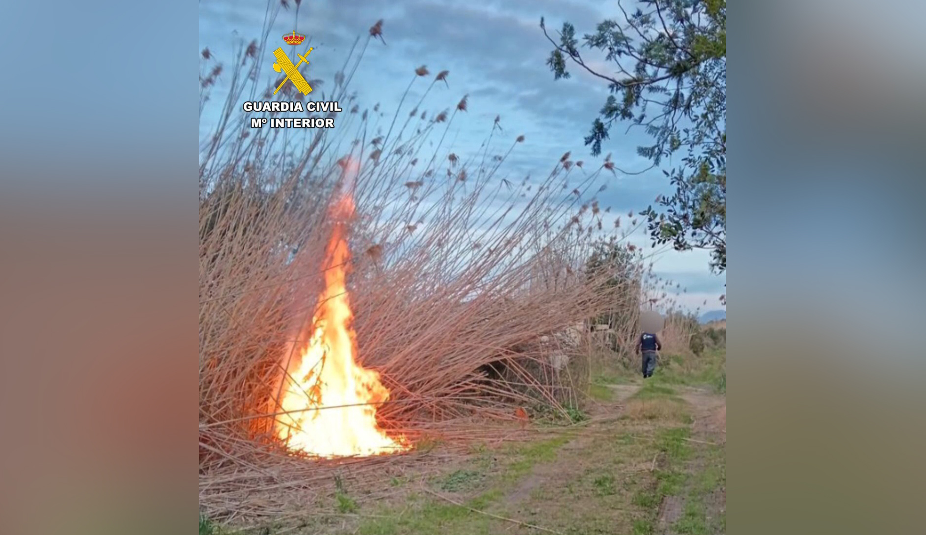 2026 02 16 detenido incendio albufera 2