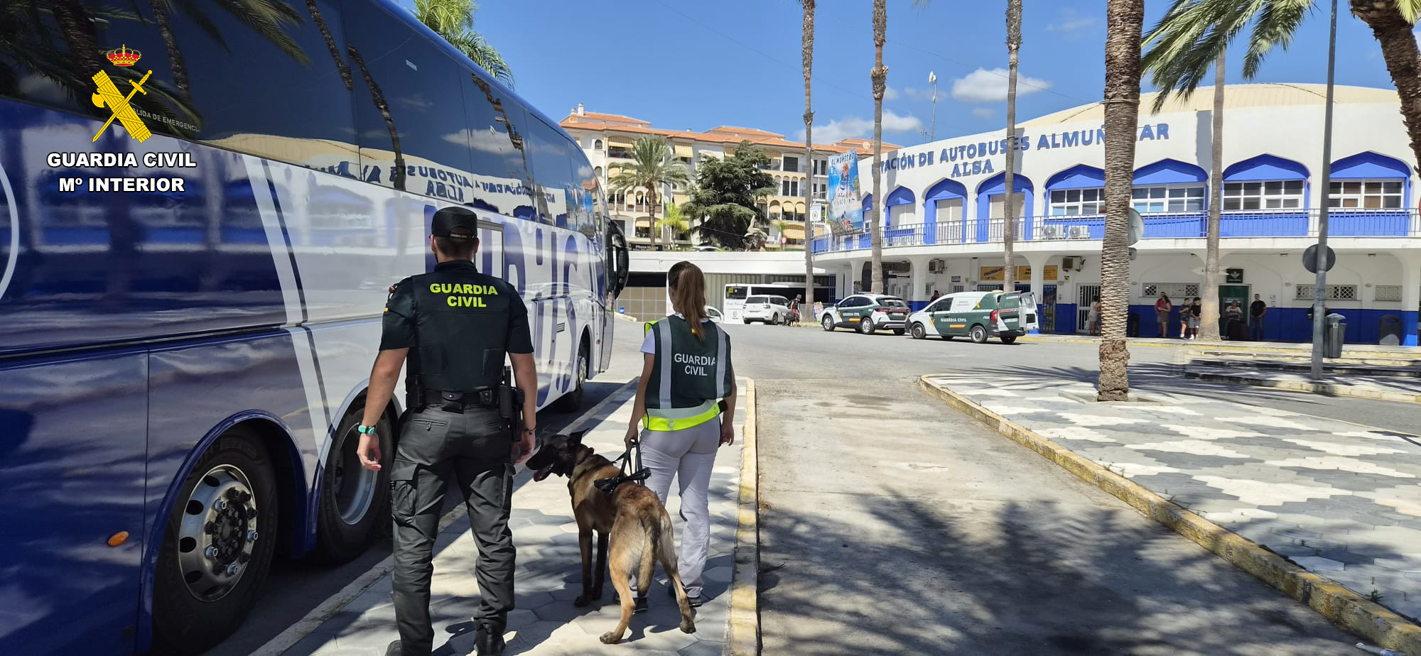 AGENTES