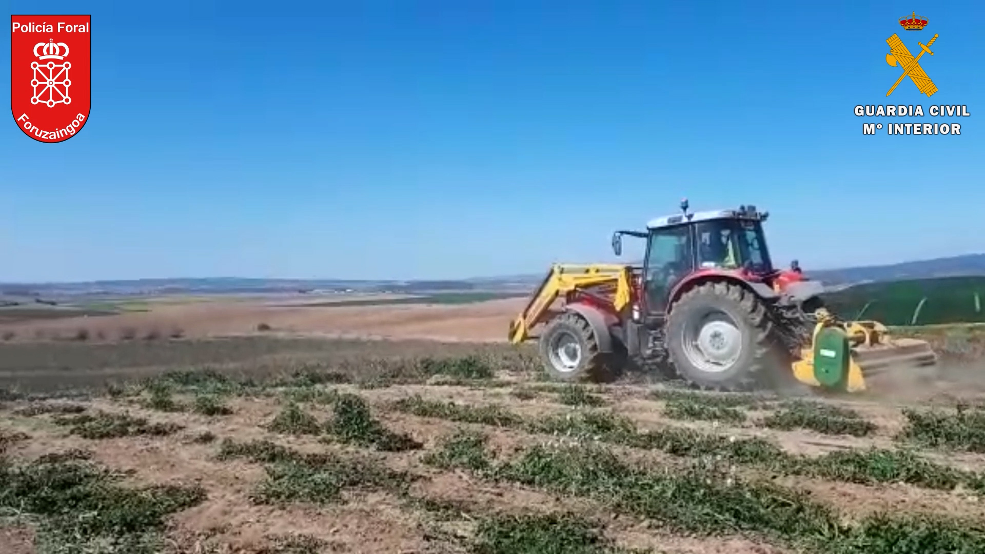 2022 04 13 MARIHUANA CONJUNTA NAVARRA