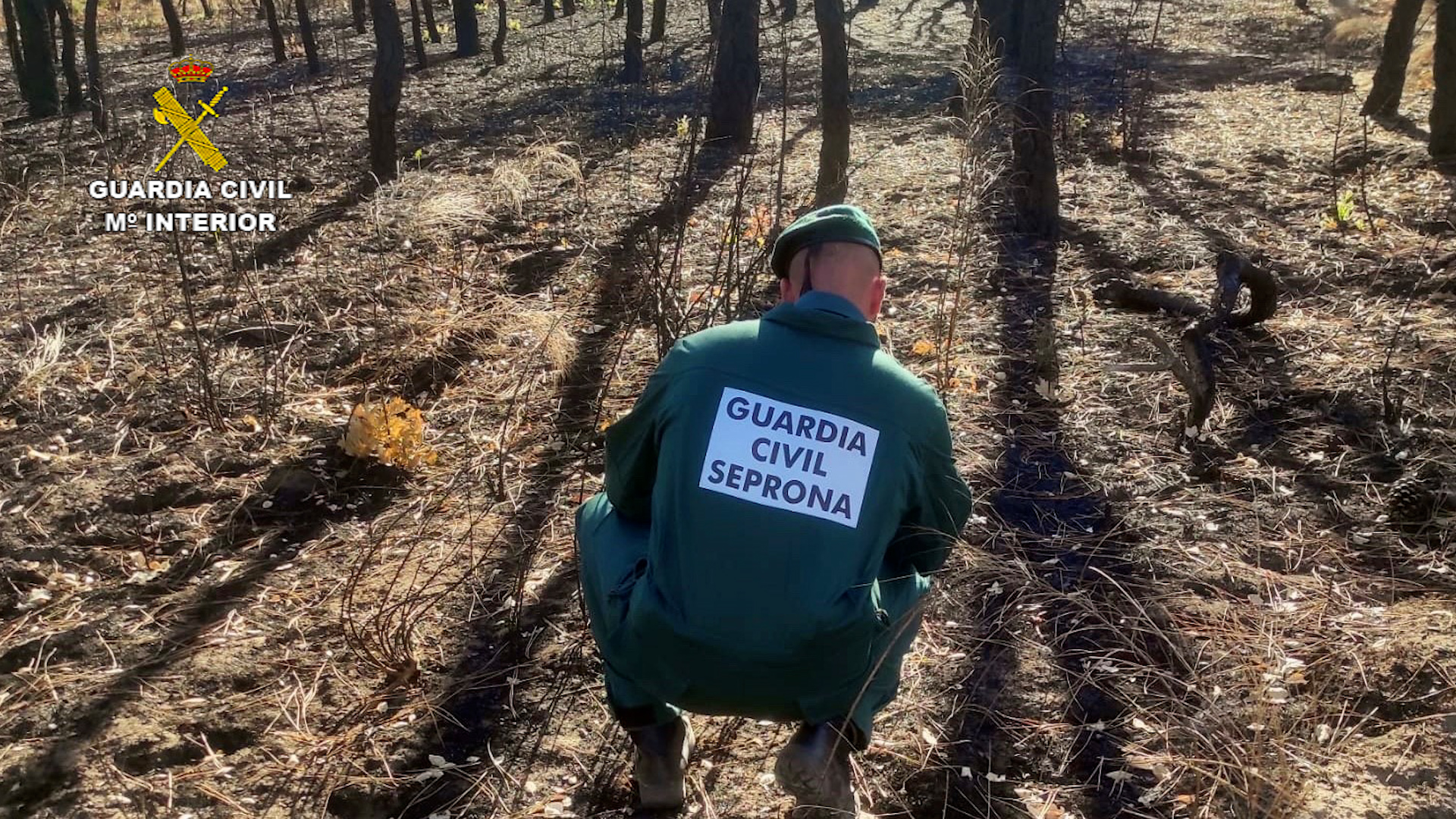 001 guardia civil caceres