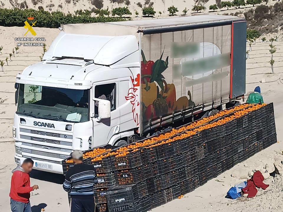 01 edit transporte mandarinas estafadas TORREVIEJA