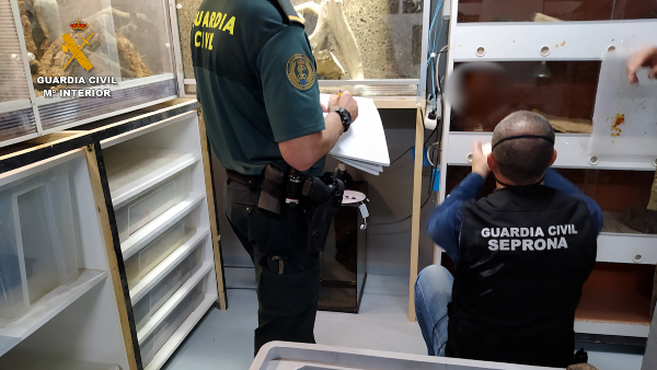1386 guardia civil animales peligrosos