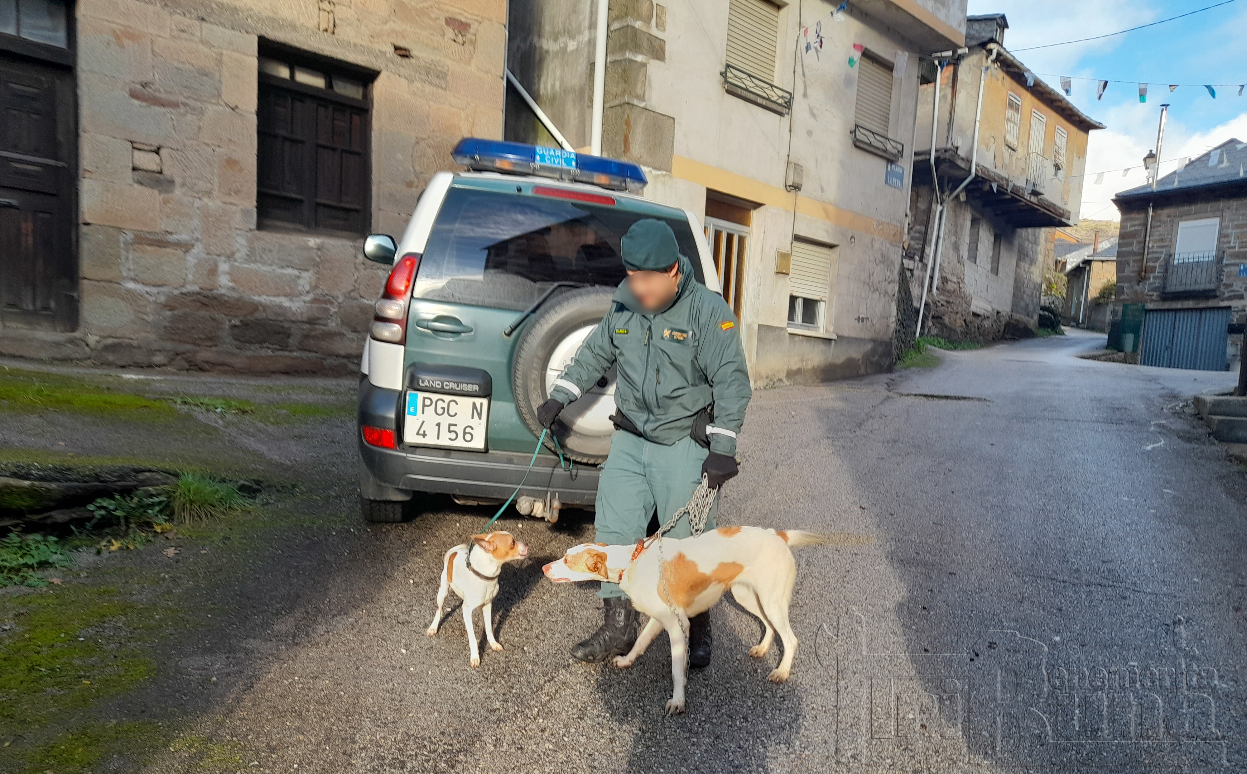 15.12.22 recuperación perros abandonados GC