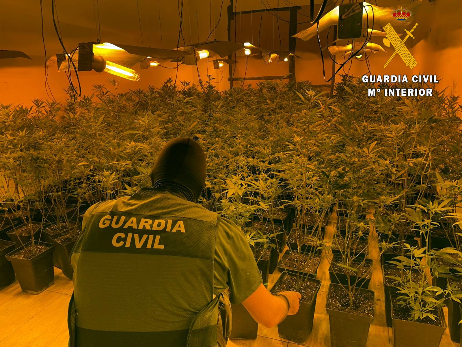 17 08 22 gc almeria plantacion