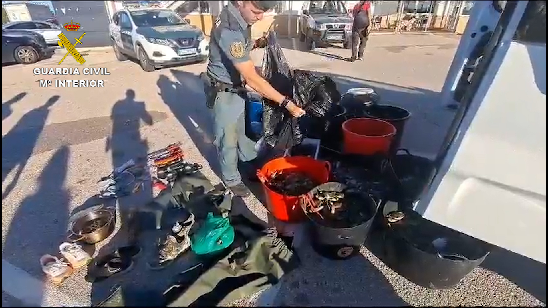 2 cangrejos valencia
