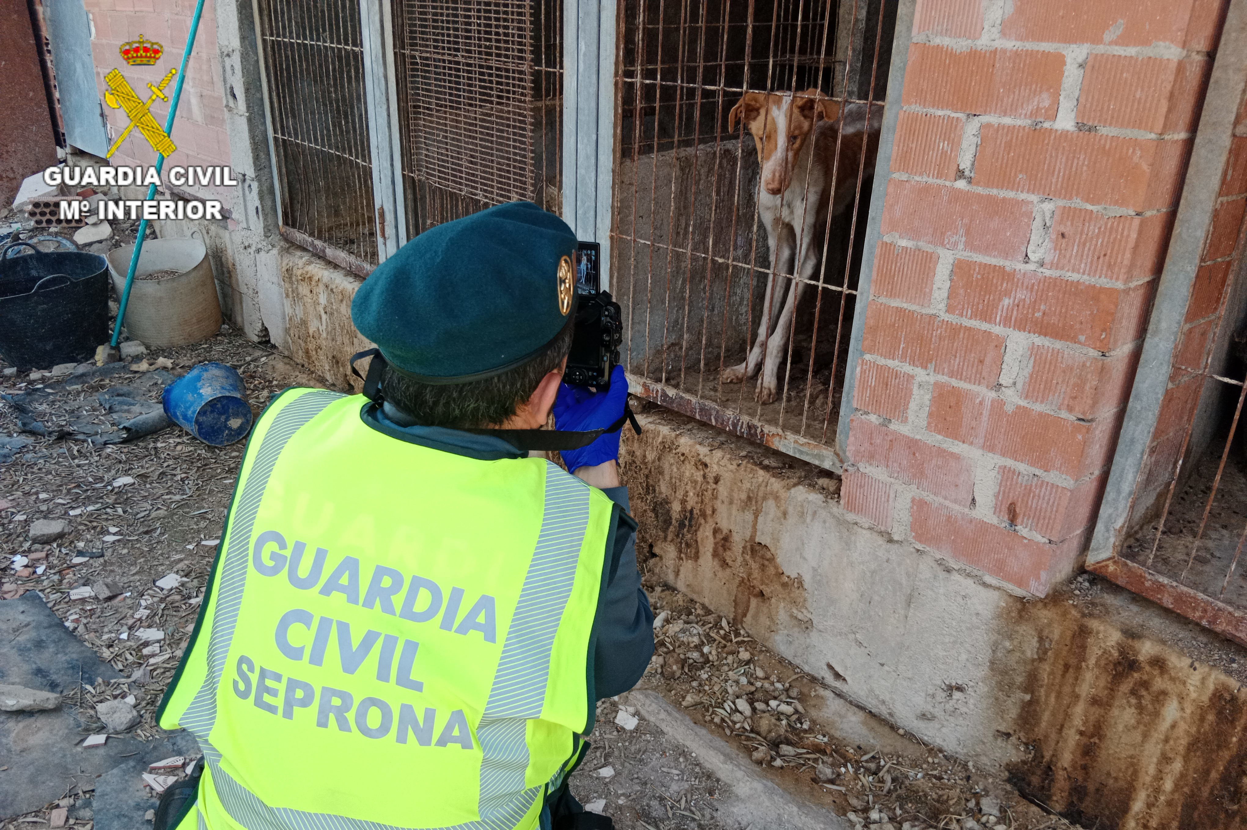 2 seprona inspeccion