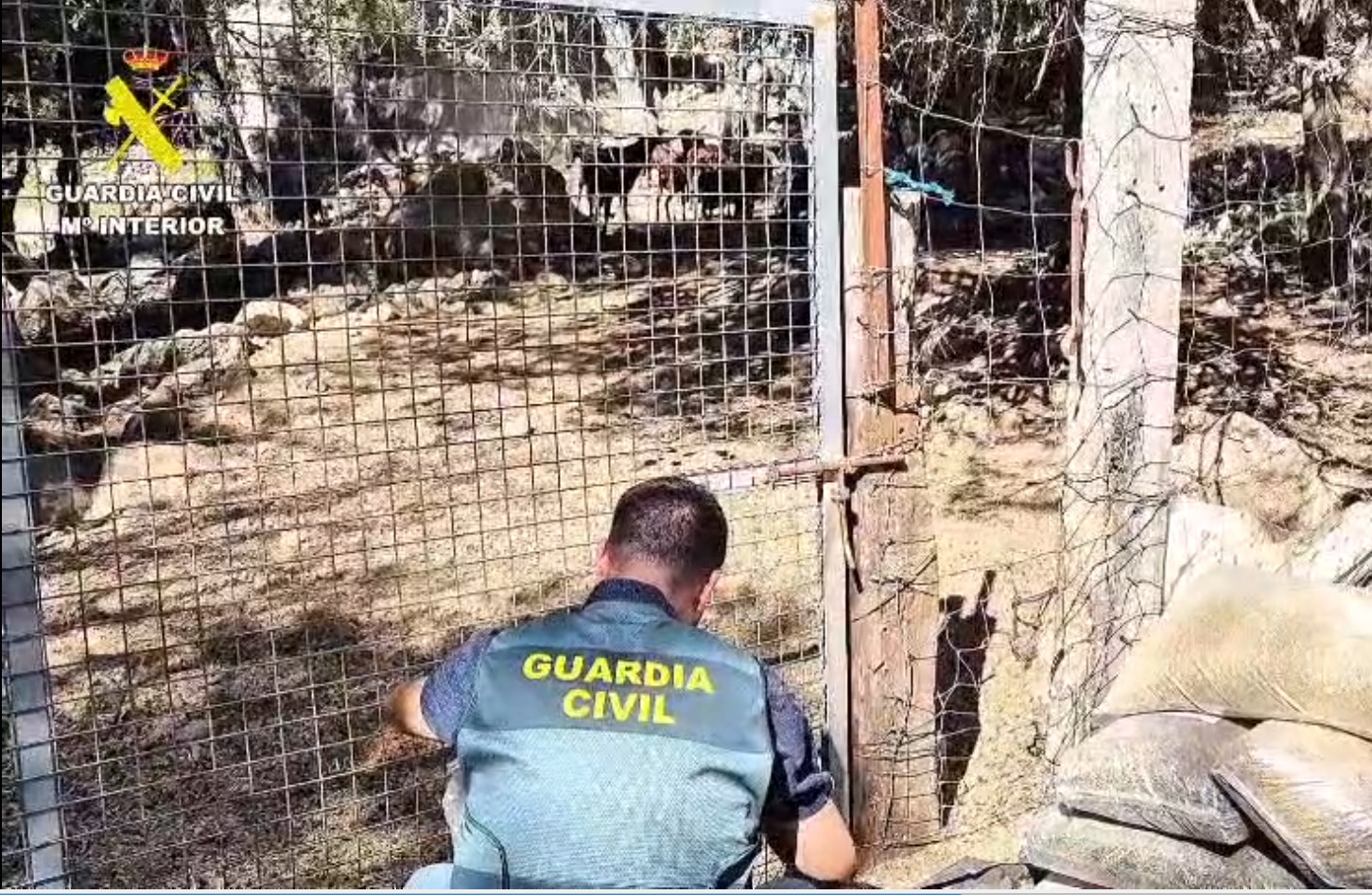 202050704 cabras seprona