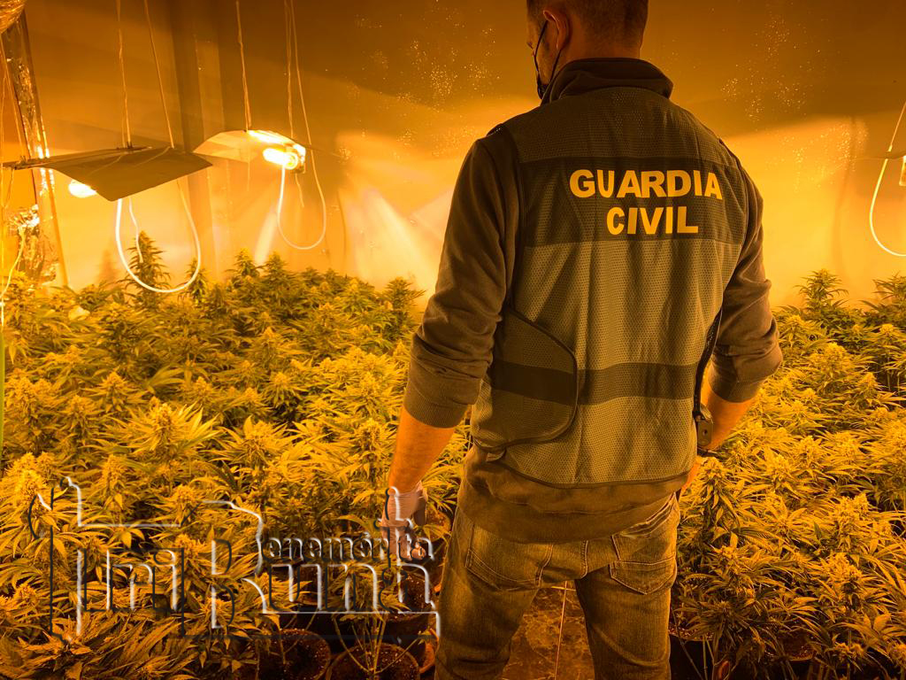 2022 03 08 plantacion granada