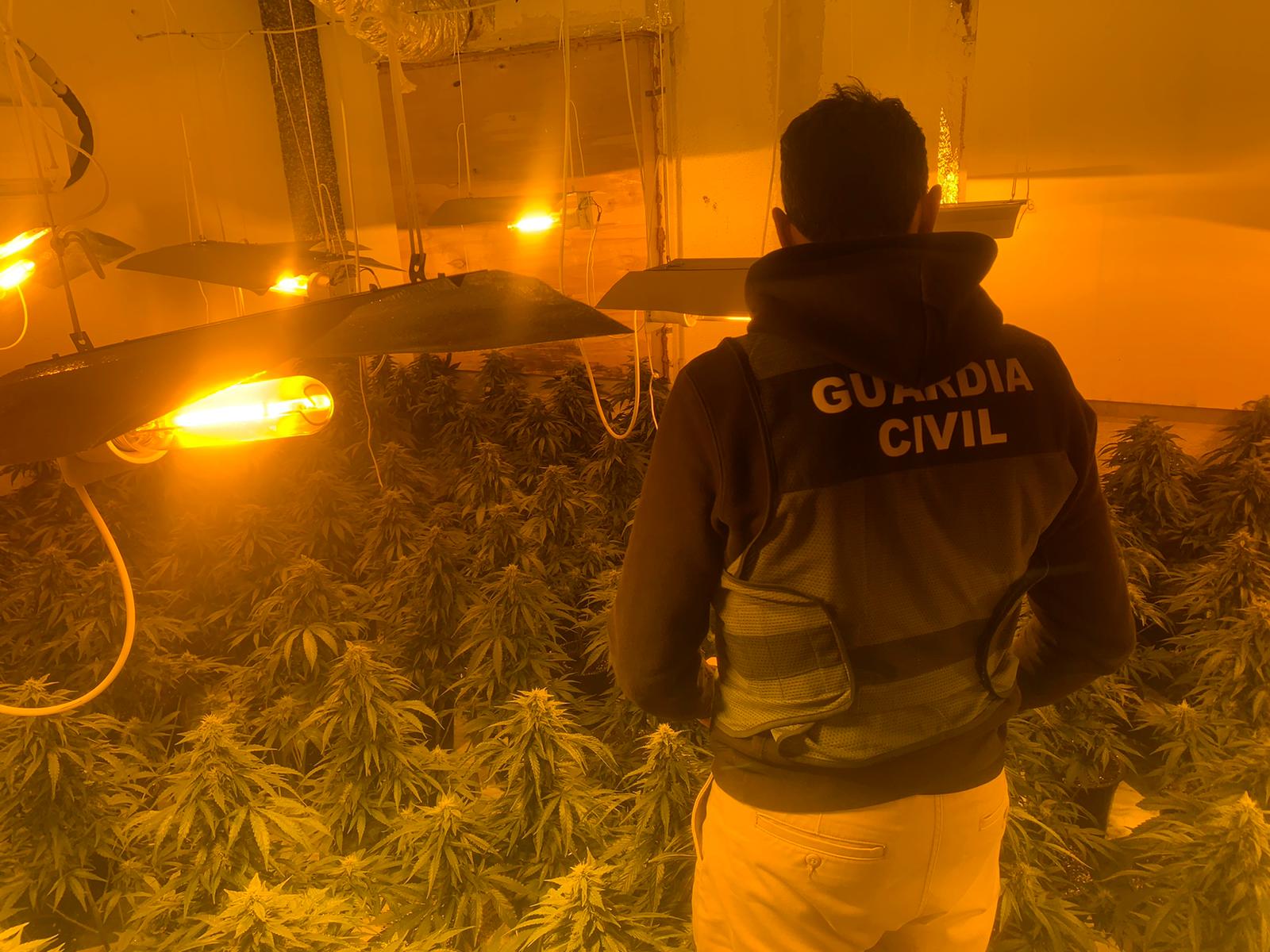 2022 04 06 granada plantacion