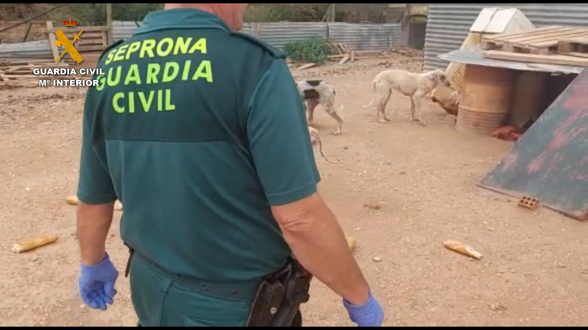 2022 12 26 maltrato animal navarra seprona 02