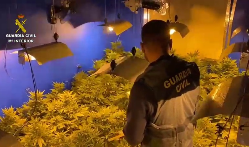 20220423 plantación marihuana algaida