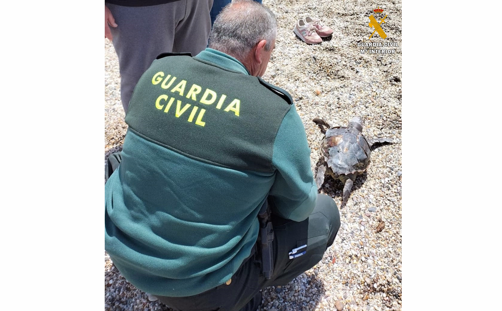 20220425 VARAMIENTO TORTUGA BOBA CABO DE GATA