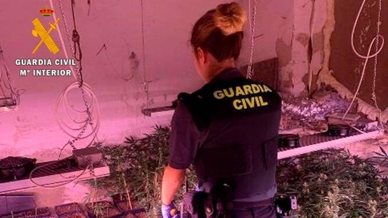 20220729 OP MINAYE DET2P MARIHUANA ADRA ARC