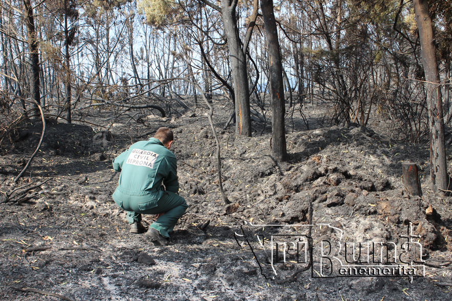 20220905 ARCHIVO SEPRONA INCENDIOS