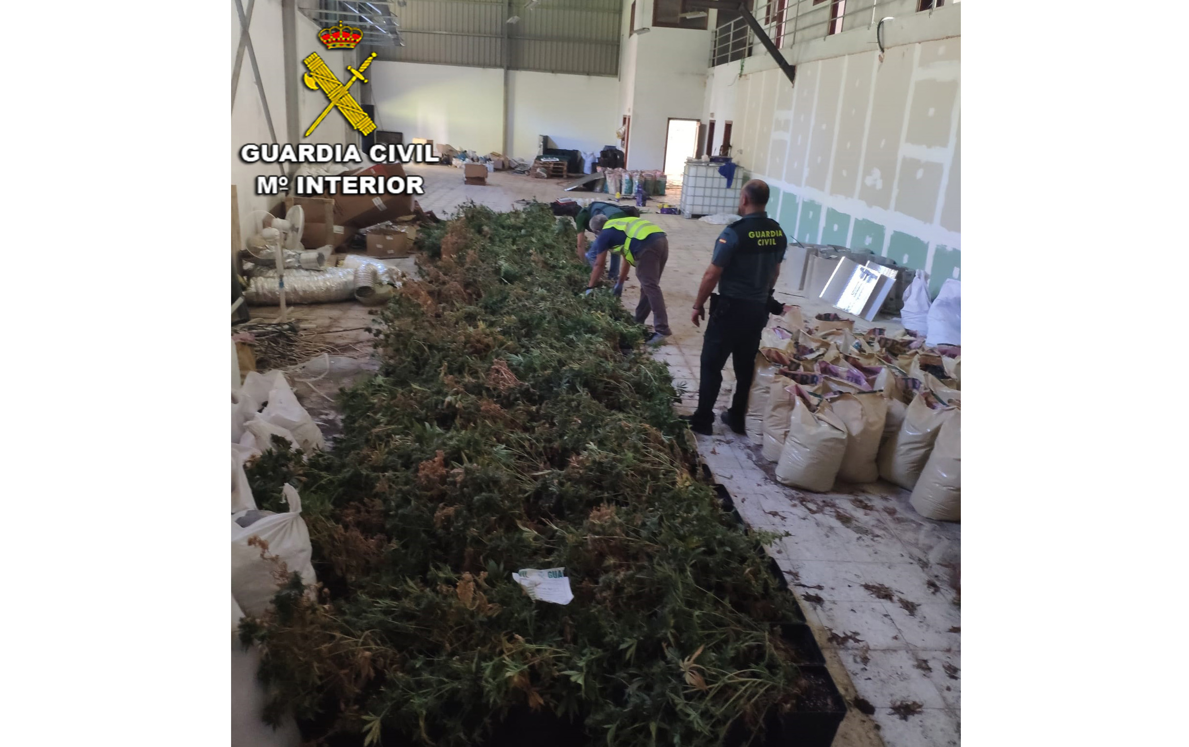 20220909 PLANTACION MARIA MOS