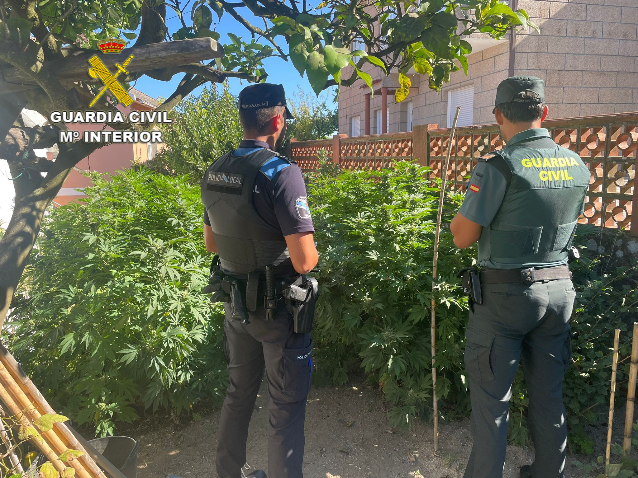 20220922 PLANTACION MARIA