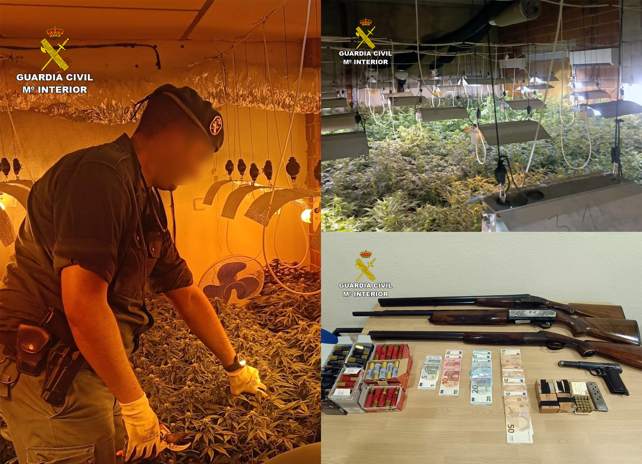 20221116 OP BARRANCO III CULTIVO MARIHUANA PTO ARCHENA tres