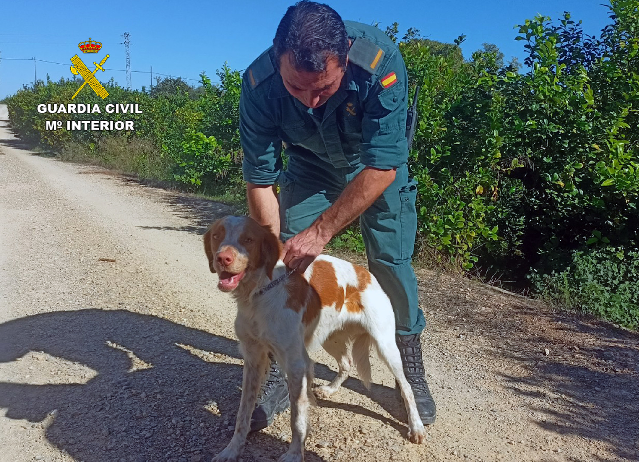 20221122 RESCATE PERRO LIBRILLA 01