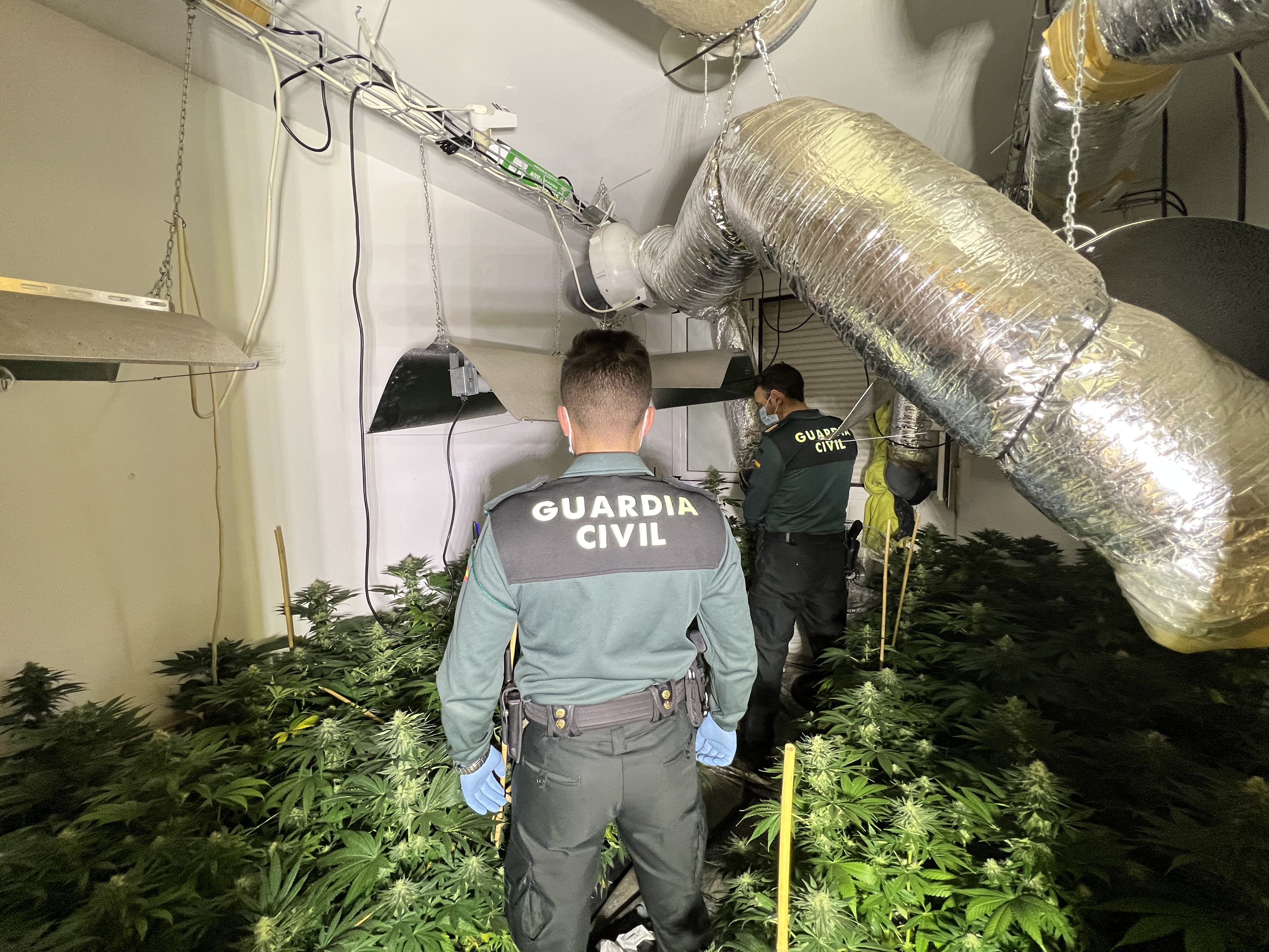 20230328 marihuana menorca