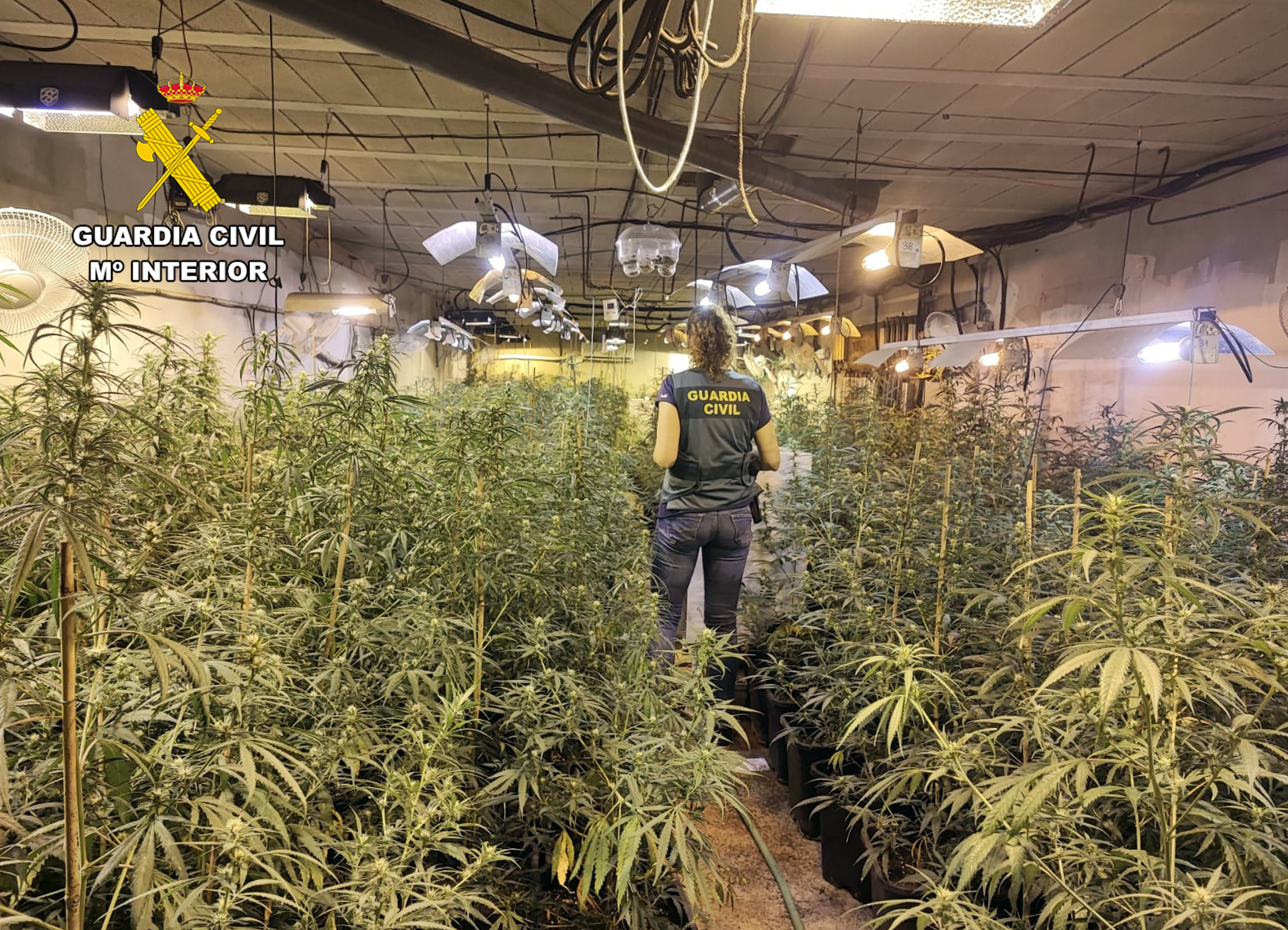 20230510 OP ESPANTO TRAFICO DROGA MARIHUANA SAN JAVIER 02