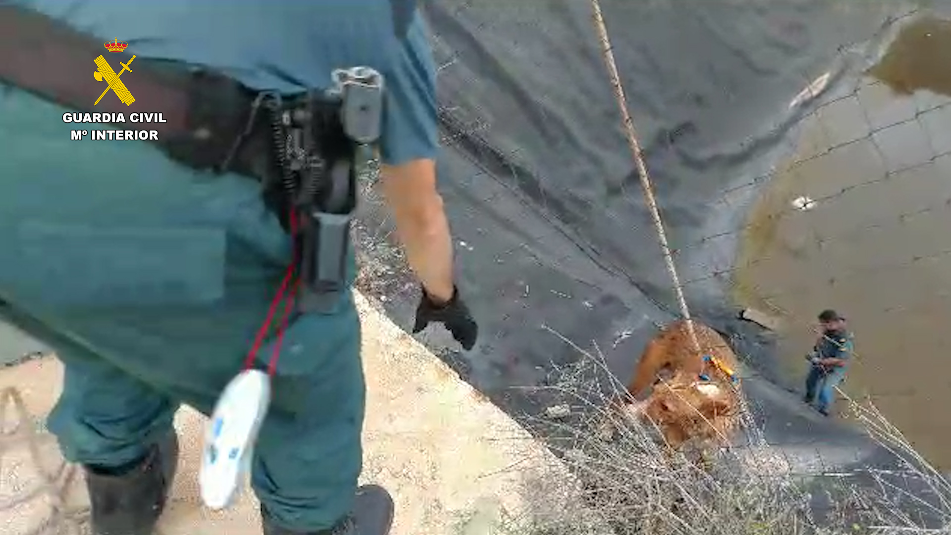 20230628 OP SIMBA RESCATE PERROS BALSA LIBRILLA PPN ALHAMA 07 1