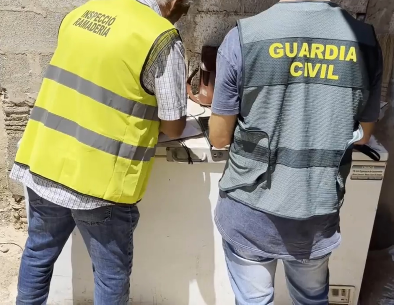 20230629 inspeccion seprona ramaderia