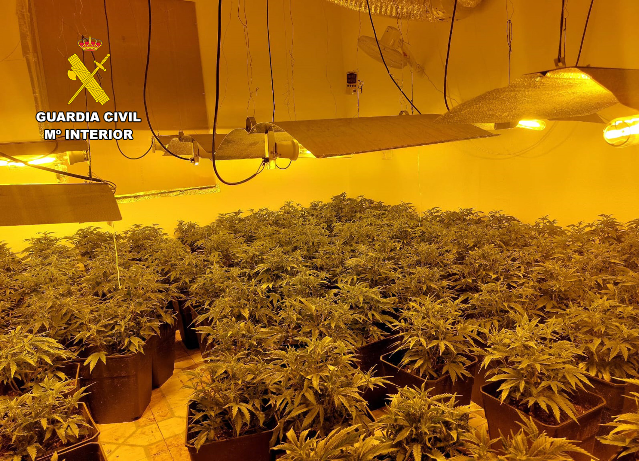 20230720 DETENIDO TRAFICO DROGA MARIHUANA BENIEL 01