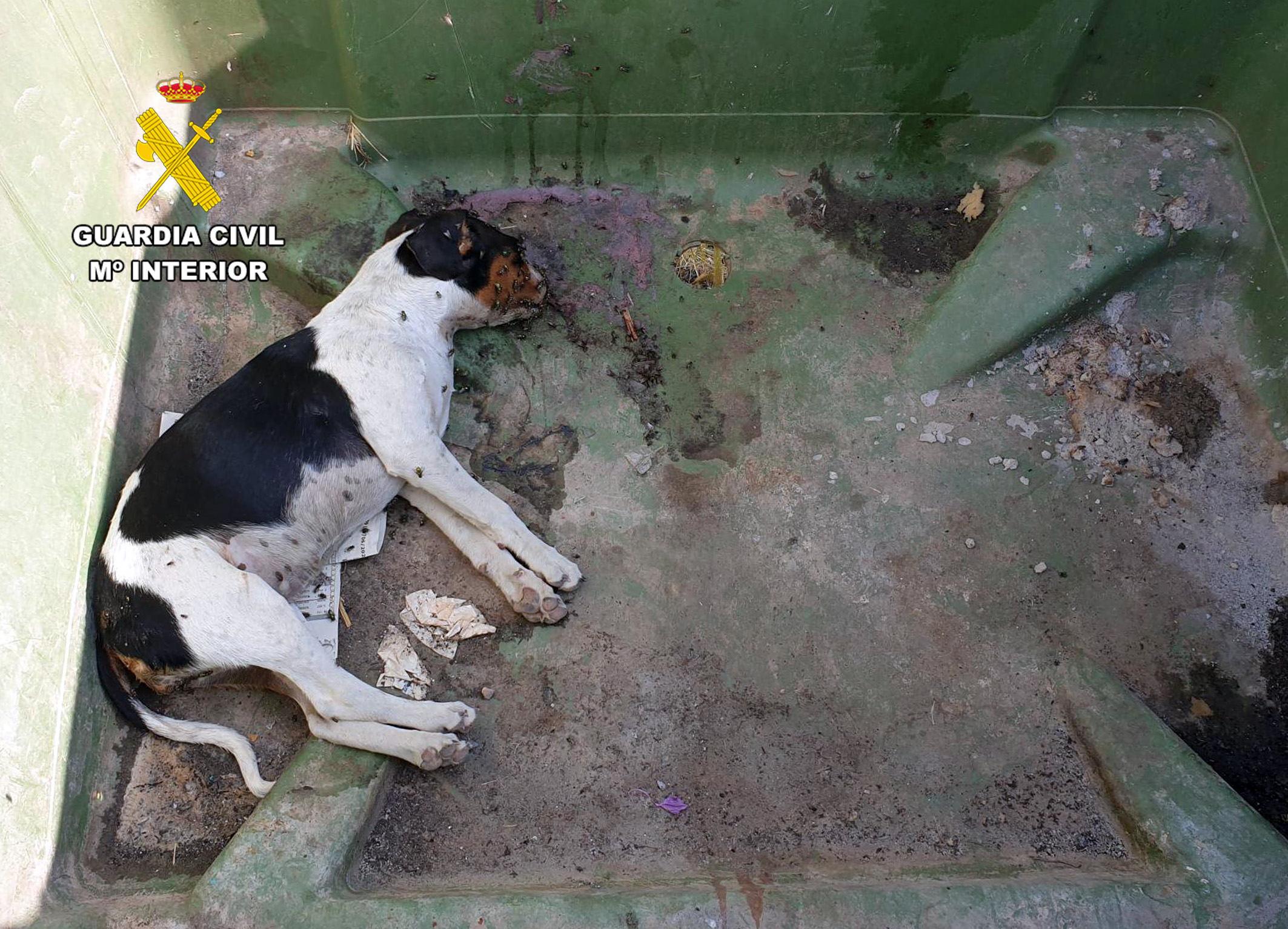20230801 INVESTIGADA MALTRATO ANIMAL MAZARRON PPN AG 01