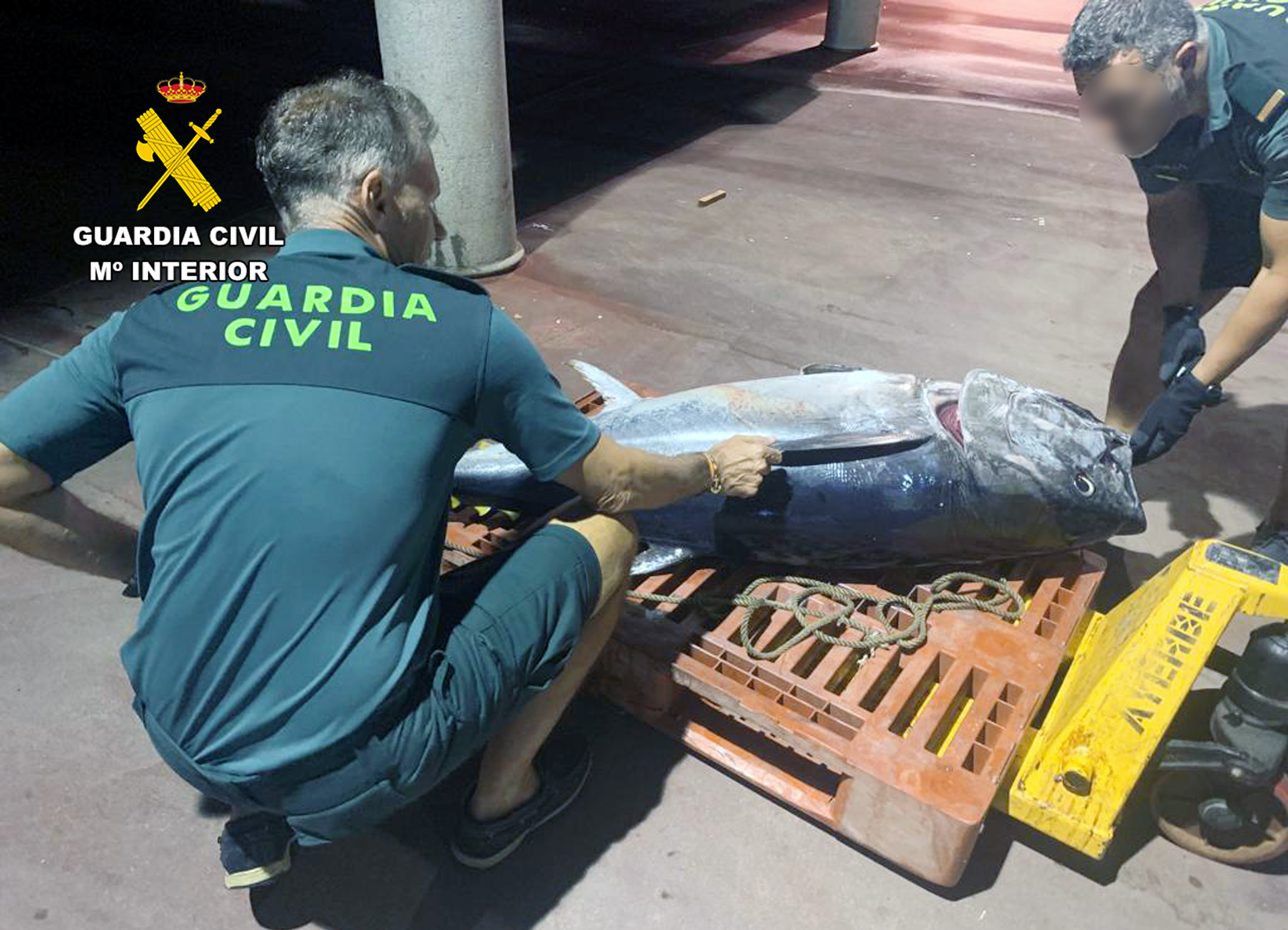 20230804 PESCADORES FURTIVOS GORGUEL SERVICIO MARITIMO 02
