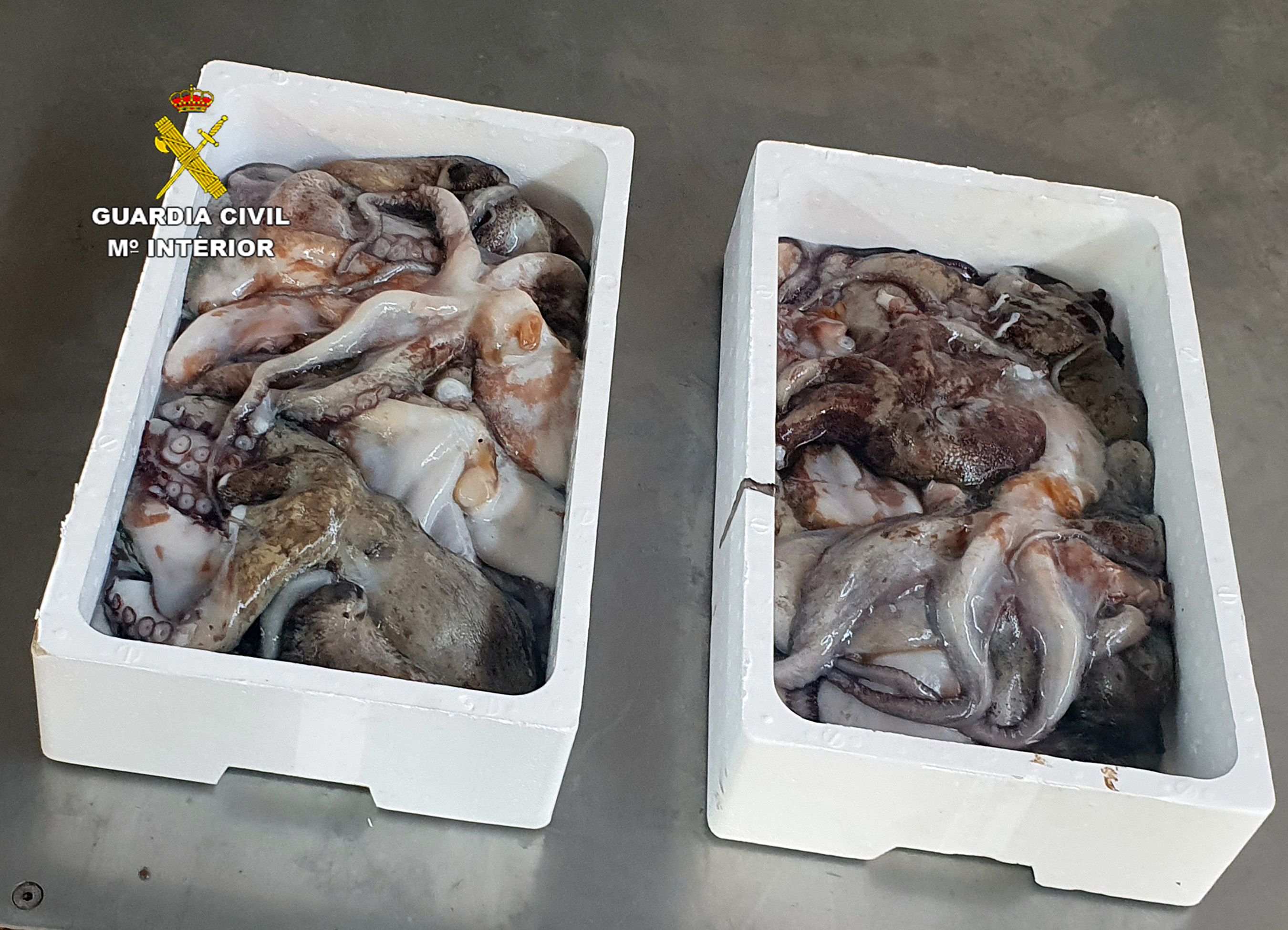 20230809 PESCA FURTIVA 02