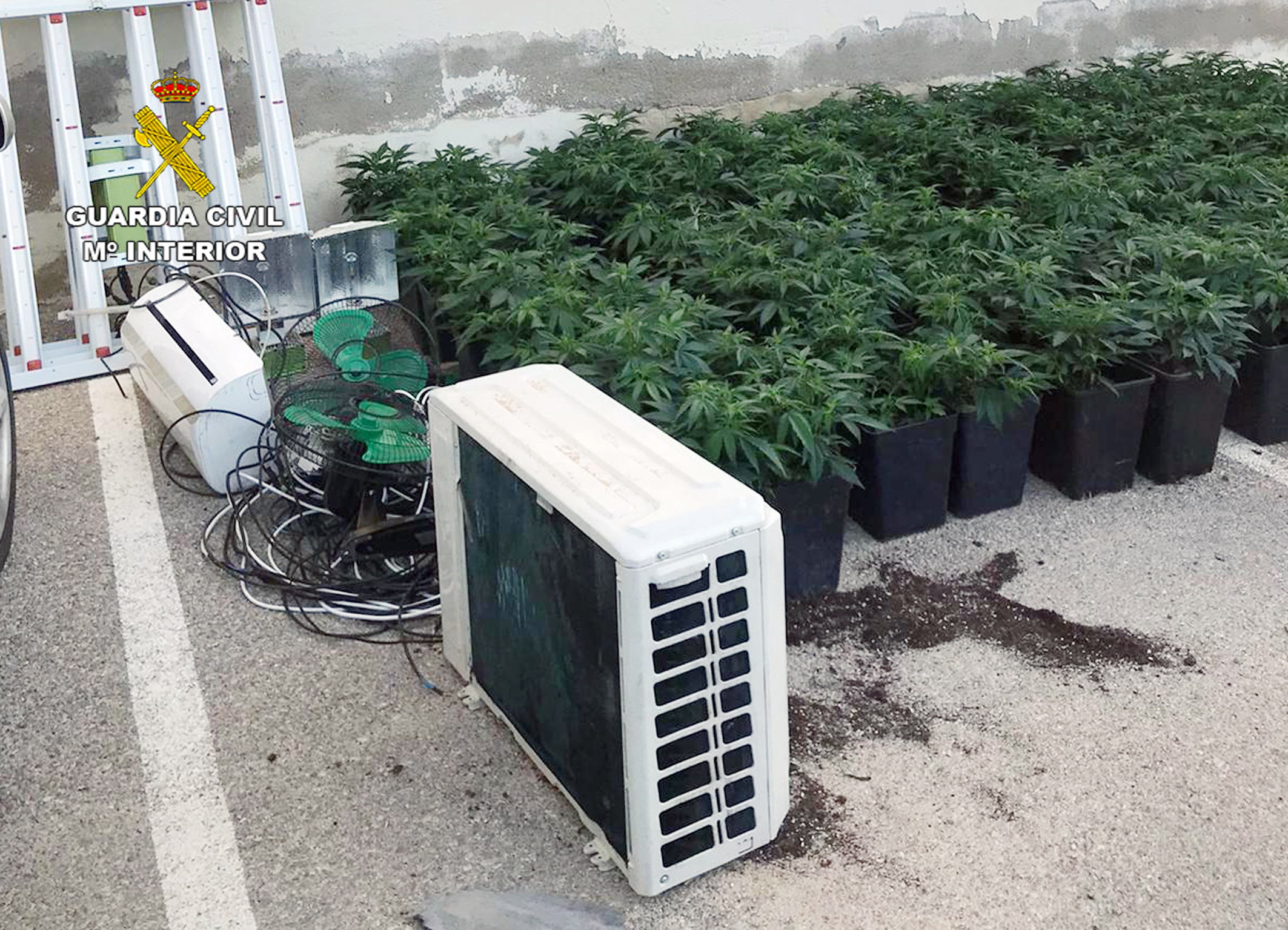 20231121 DETENIDA MARIHUANA MULA 02