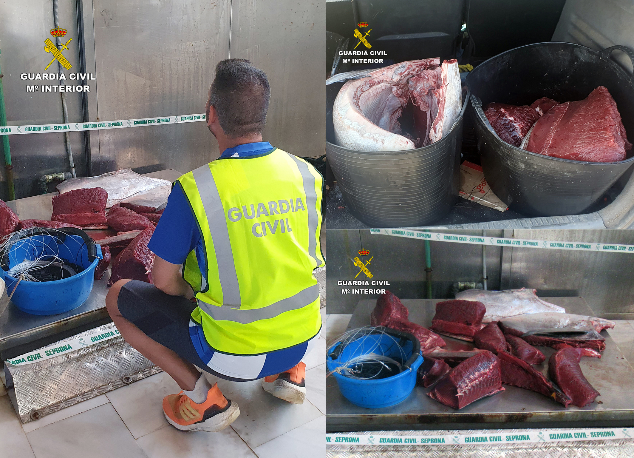 20231128 FURTIVOS PESCA ATUN AGUILAS tres