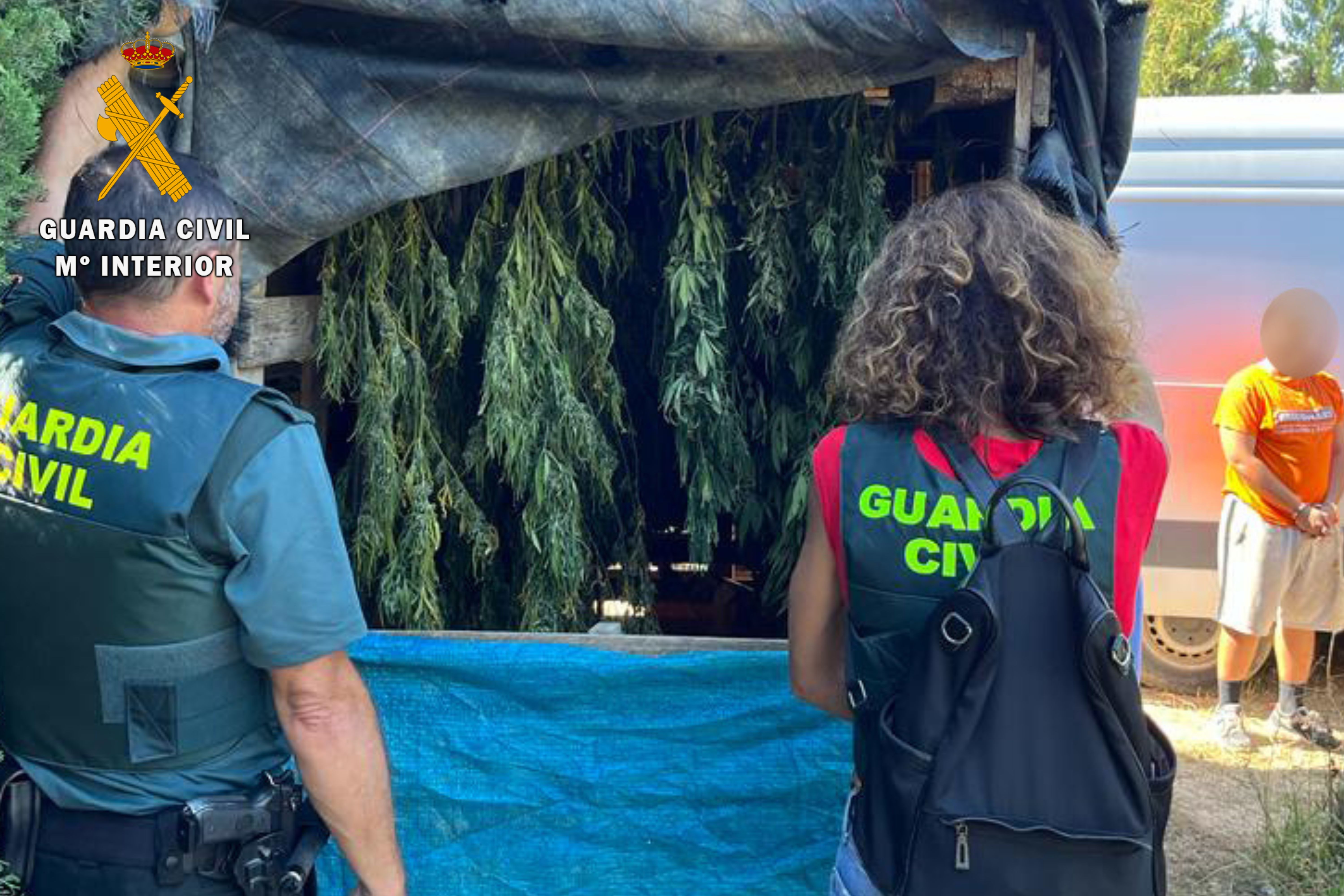 2023 VILLAMAYOR MARIHUANA M 3