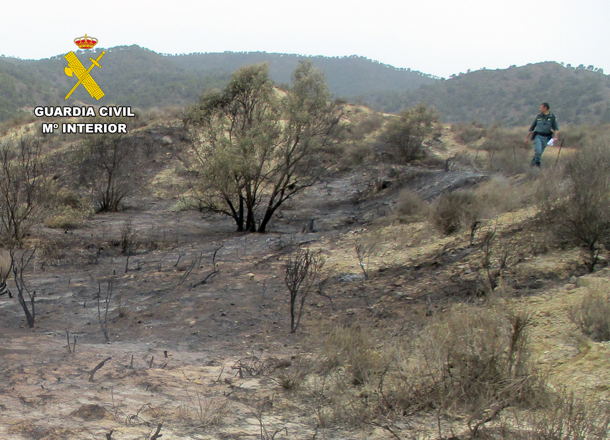 20240531 INVESTIGACION INCENDIO PPN LORCA 05