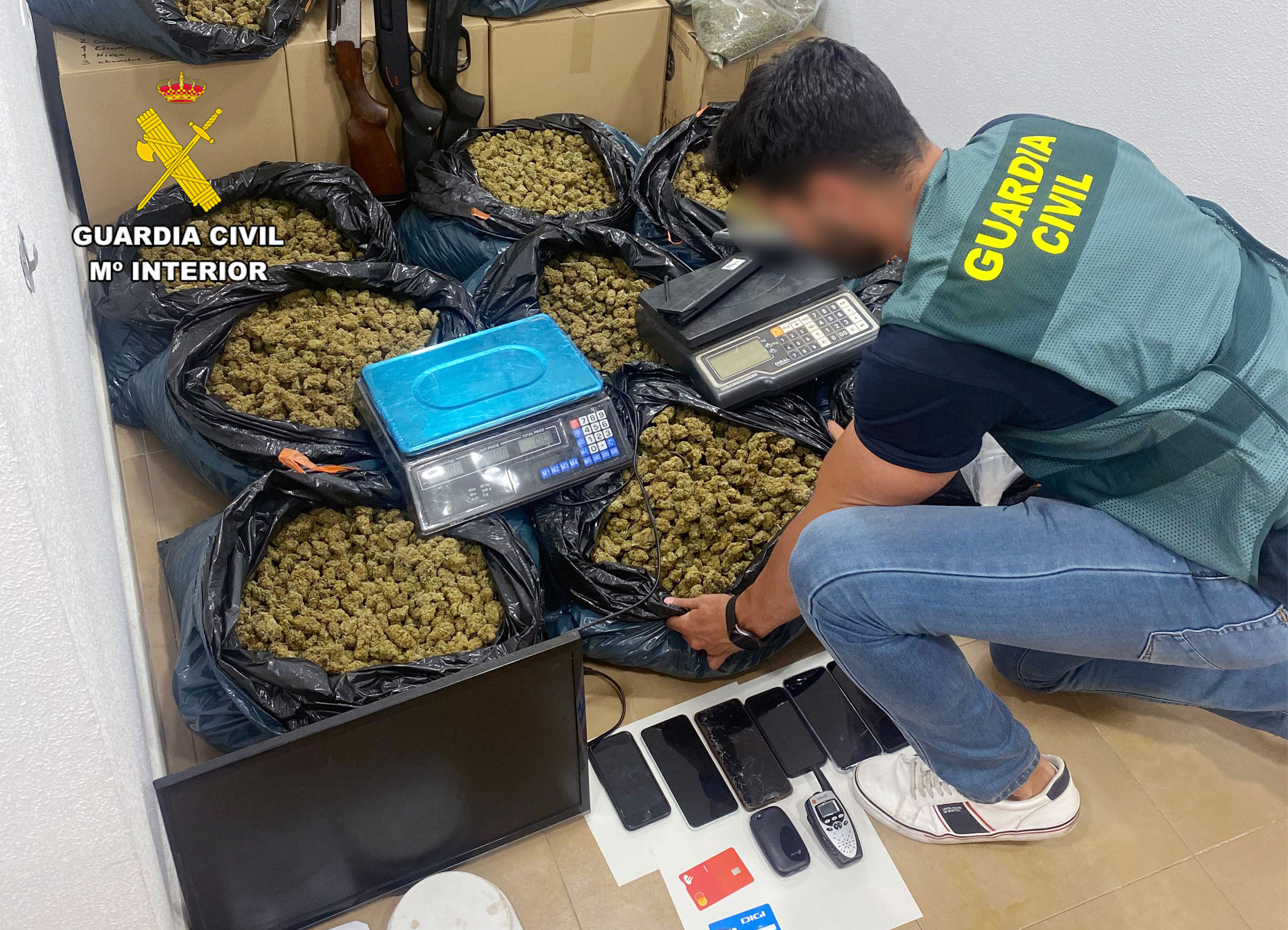 20240624 OP MACETOS MARIHUANA SAN JAVIER 06