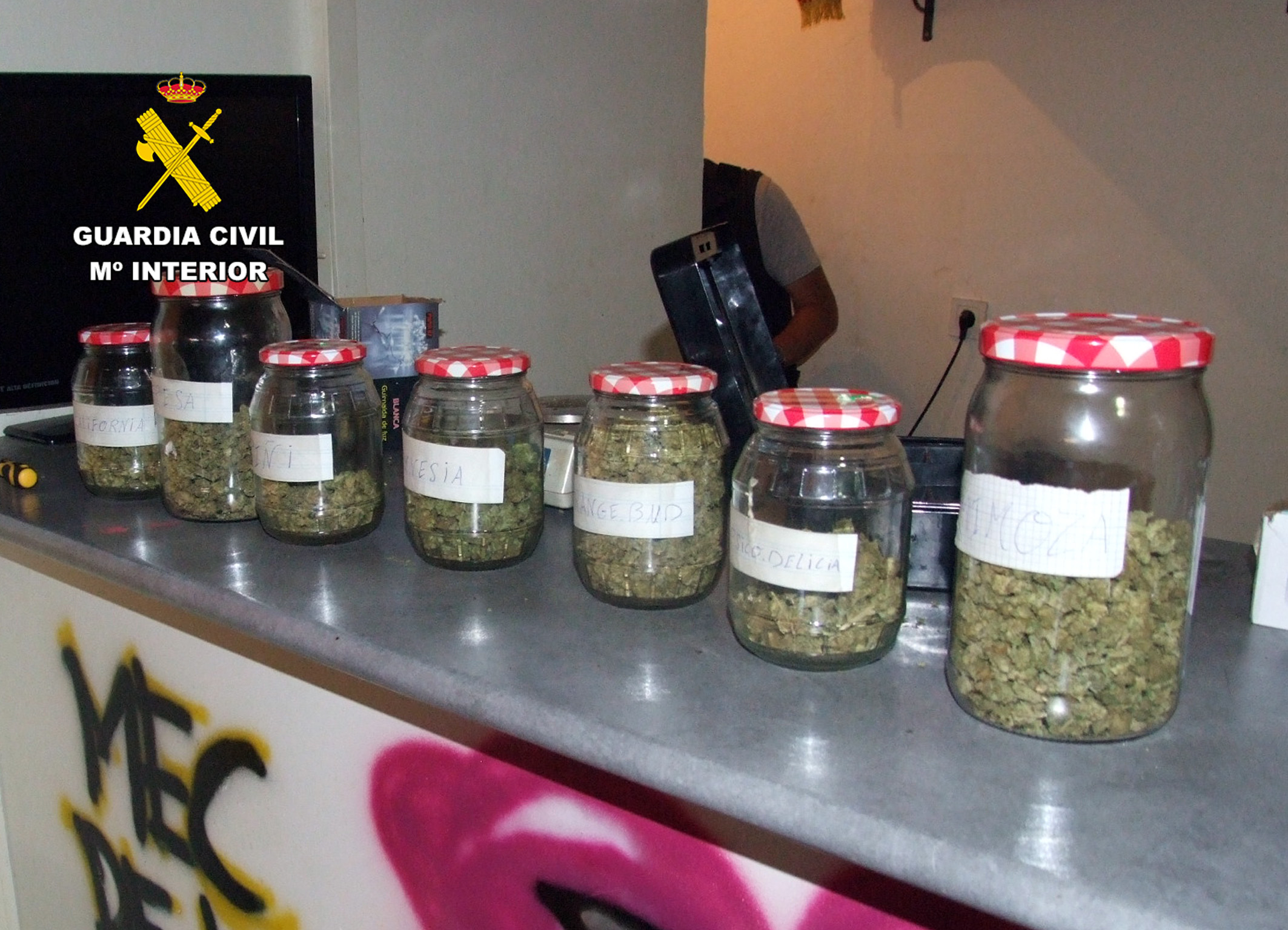 20240713 OP MUDHAKAN GRUPO CRIMINAL CANNABIS FUENTE ALAMO PJ CT 06