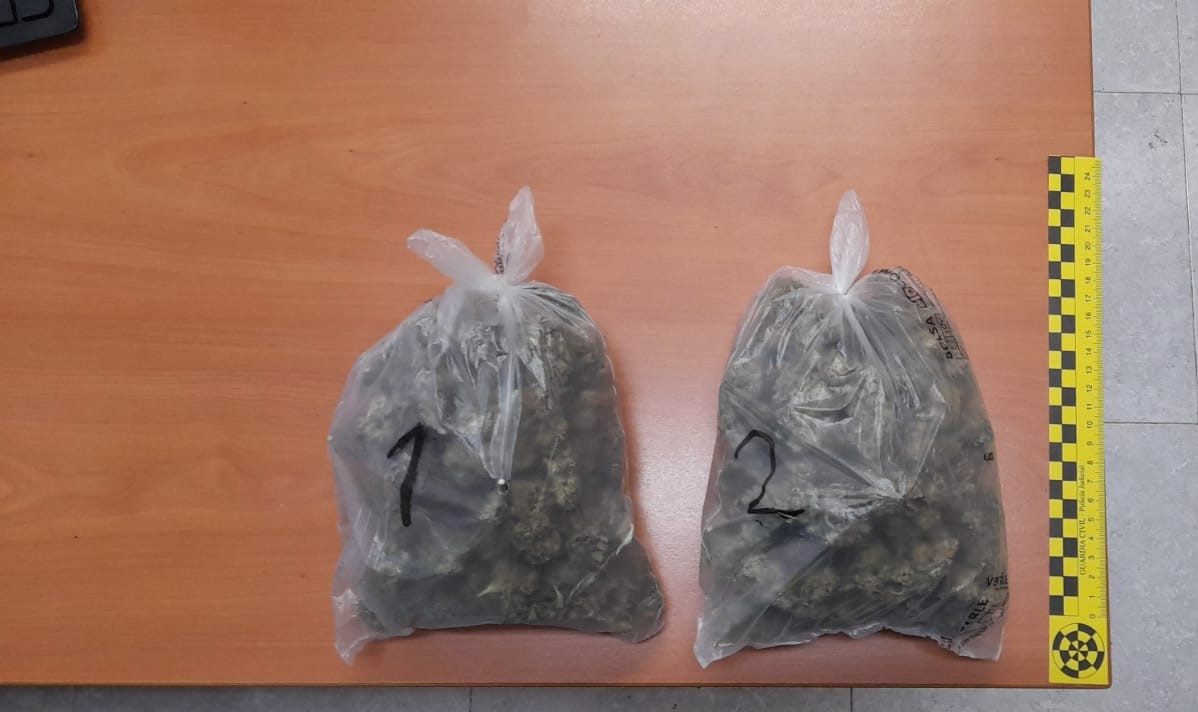 20241119 dto marihuana cala millor