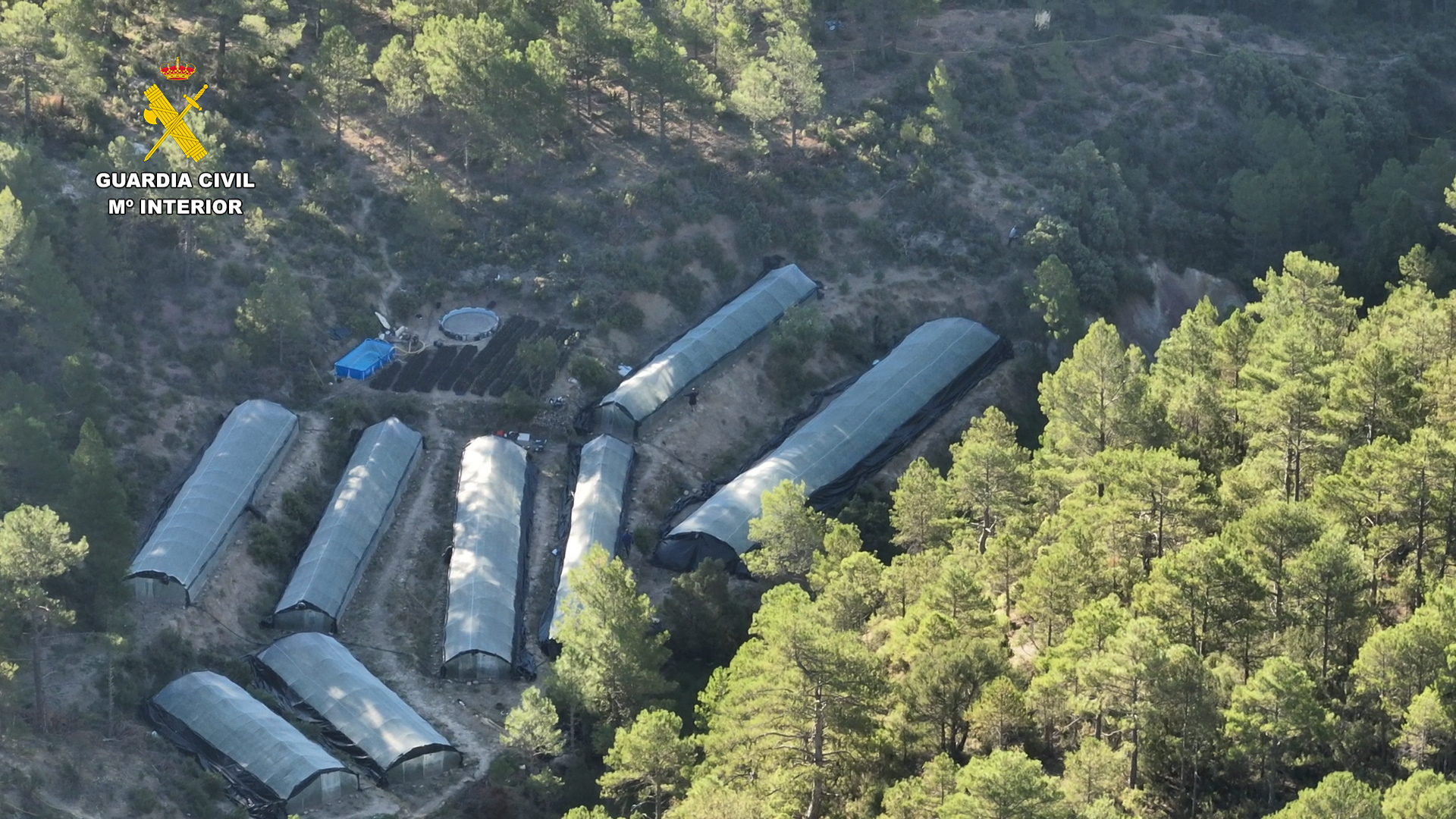2025 07 28 op perrua invernaderos teruel 1