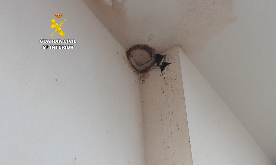 20250525 Seprona Castellón