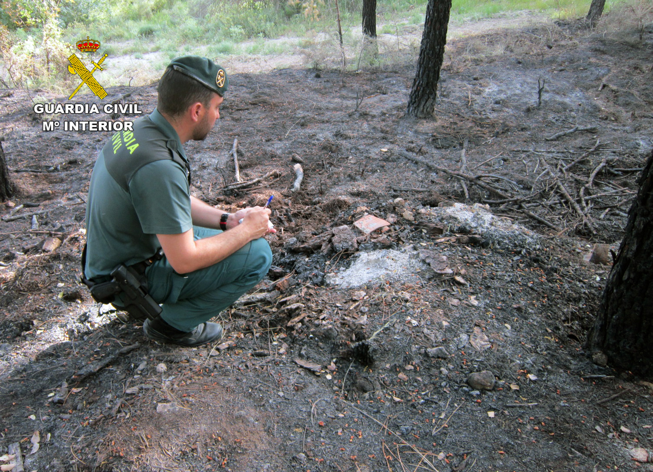 20250707 OP PAVESA INCENDIO FORESTAL MORATALLA01
