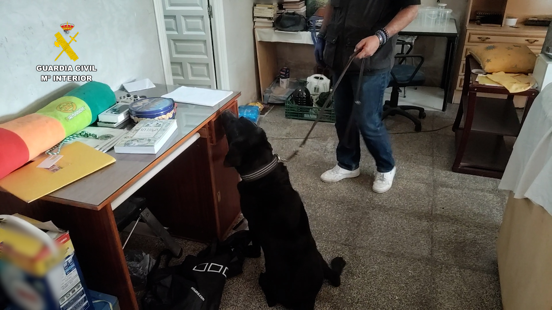 20250726 OP ABACARRI DETENIDOS ROBO VIOLENCIA VIVIENDA PJ LTC 01