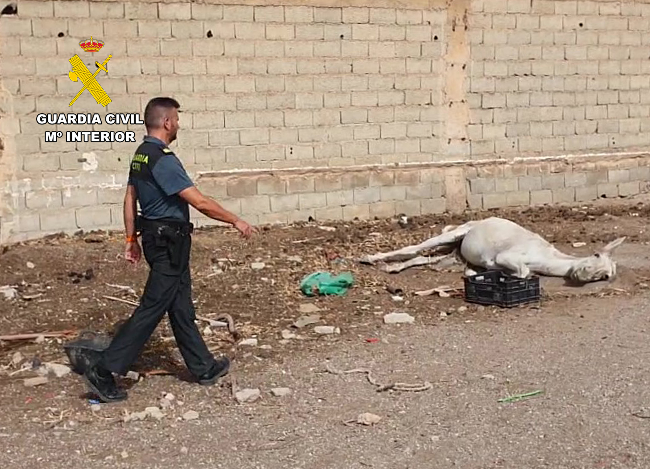 20250920 OP FRISON MALTRATO ANIMAL PPN AGUILAS 05 1