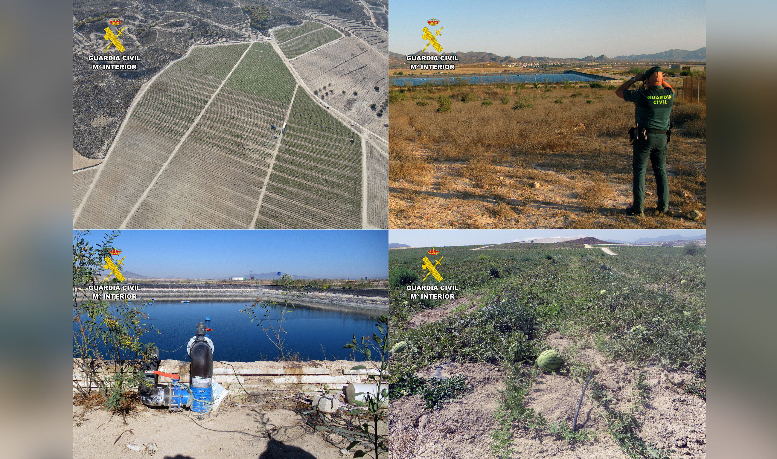 20251001 OP ZAHORI INVES RECURSOS NATURALES PPN AGUILAS cuatro