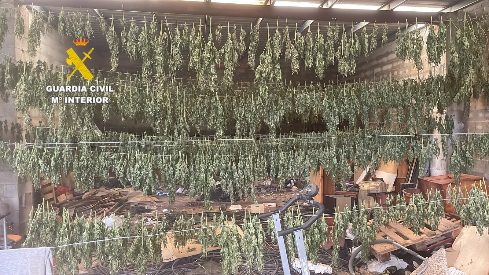 20251016 San Jordi almacén marihuana