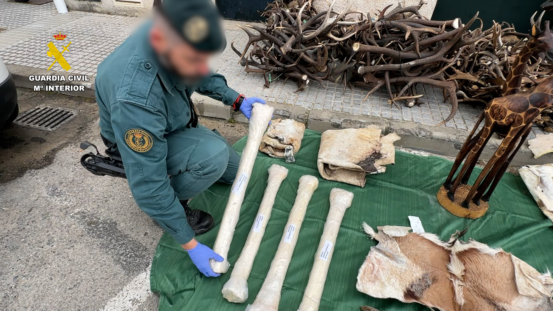 2026 03 07 piezas africa cadiz 1