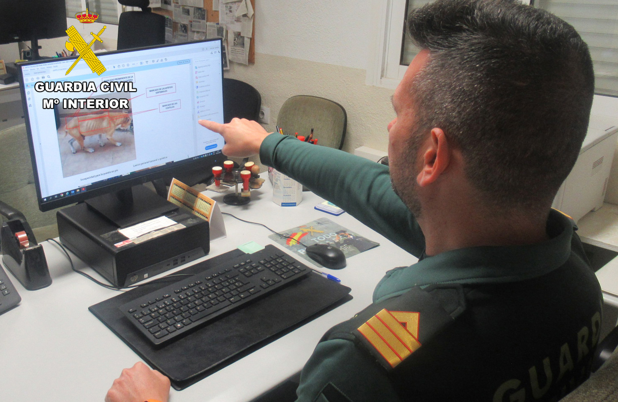 20260328 INVESTIGADO MALTRATO ANIMAL PPN AGUILAS 01