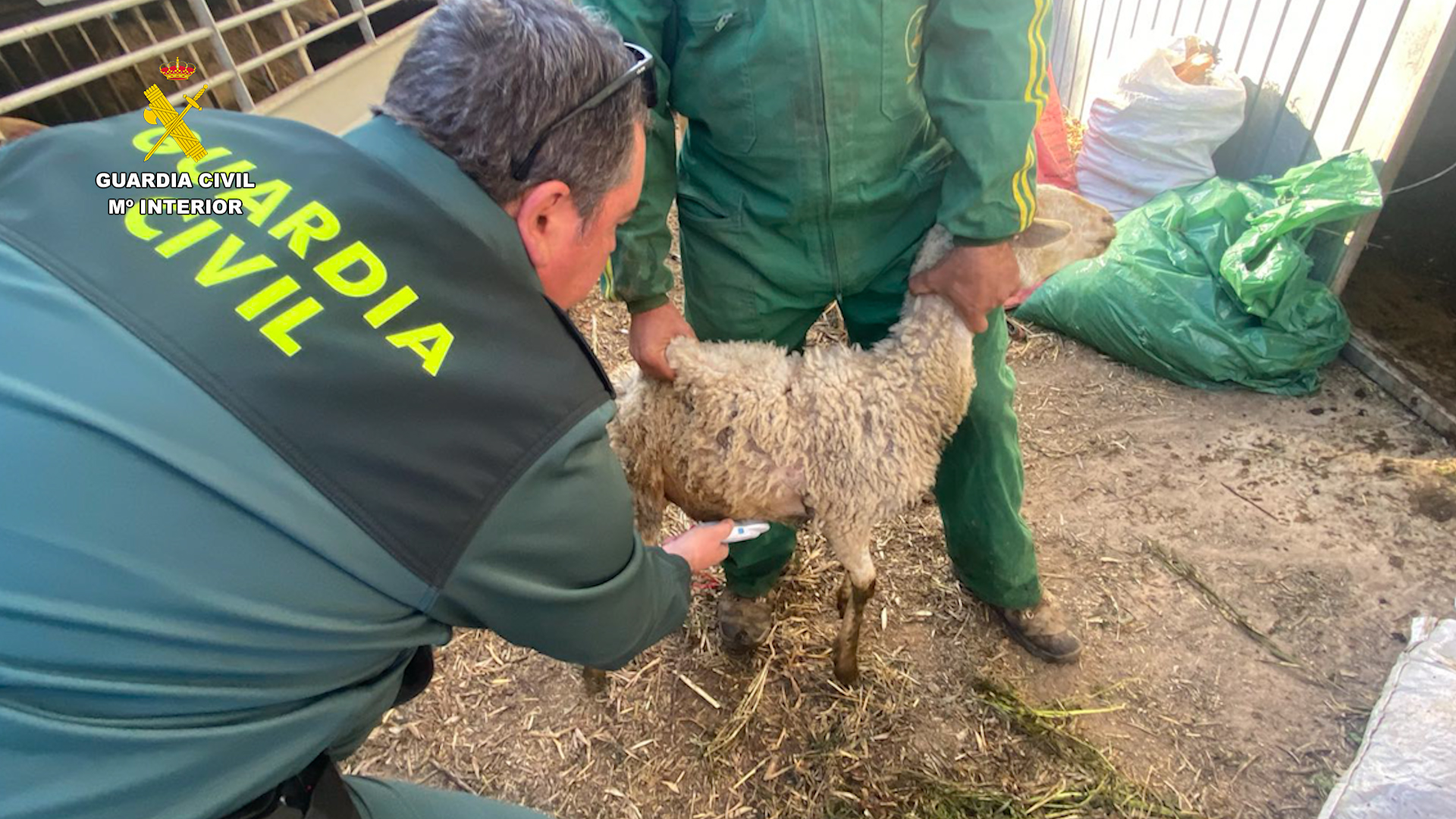 20260406 OP CABEZO GORDO PEAG EQ ROCA 3 CV 02